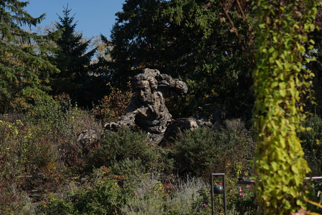 DSC00916 Chicago Botanical Gardens OCTOBER 25 2024