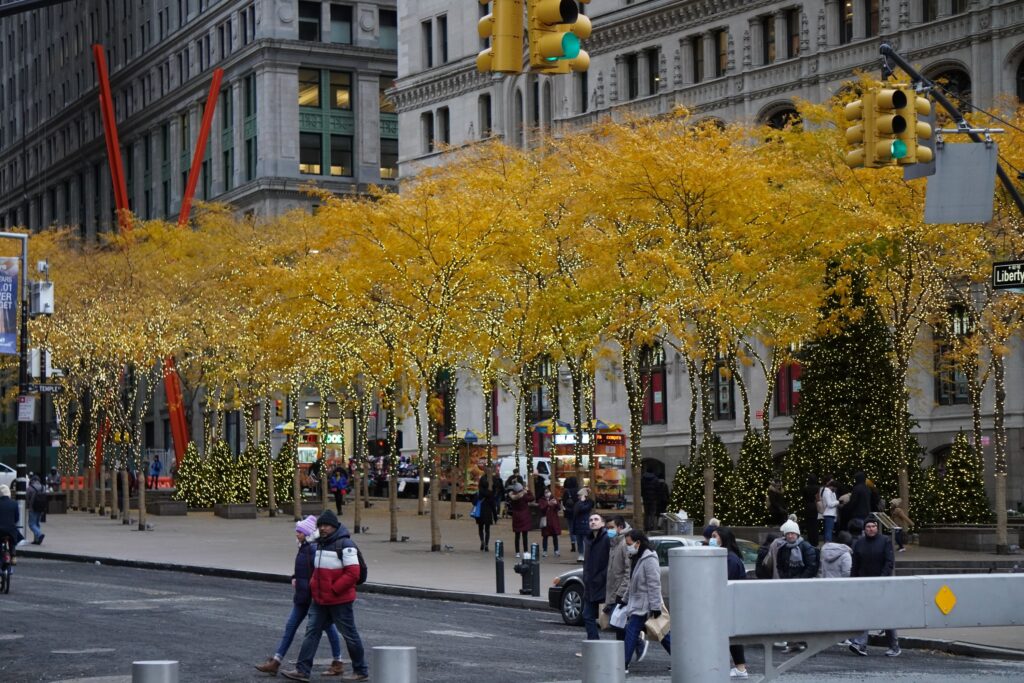 DSC00979 seen in New York City in November 2021