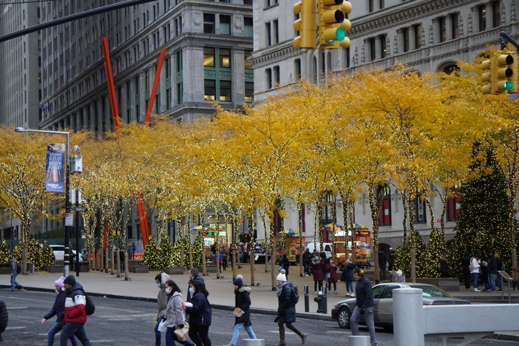 DSC00983 seen in New York City in November 2021