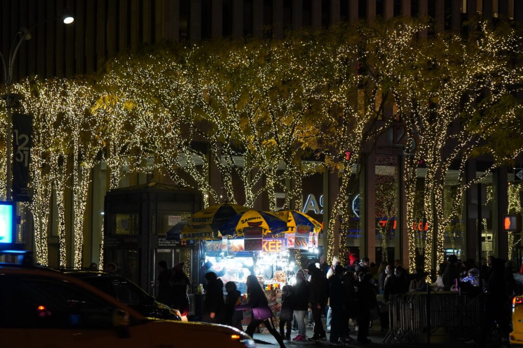 DSC01242 seen in New York City in November 2021