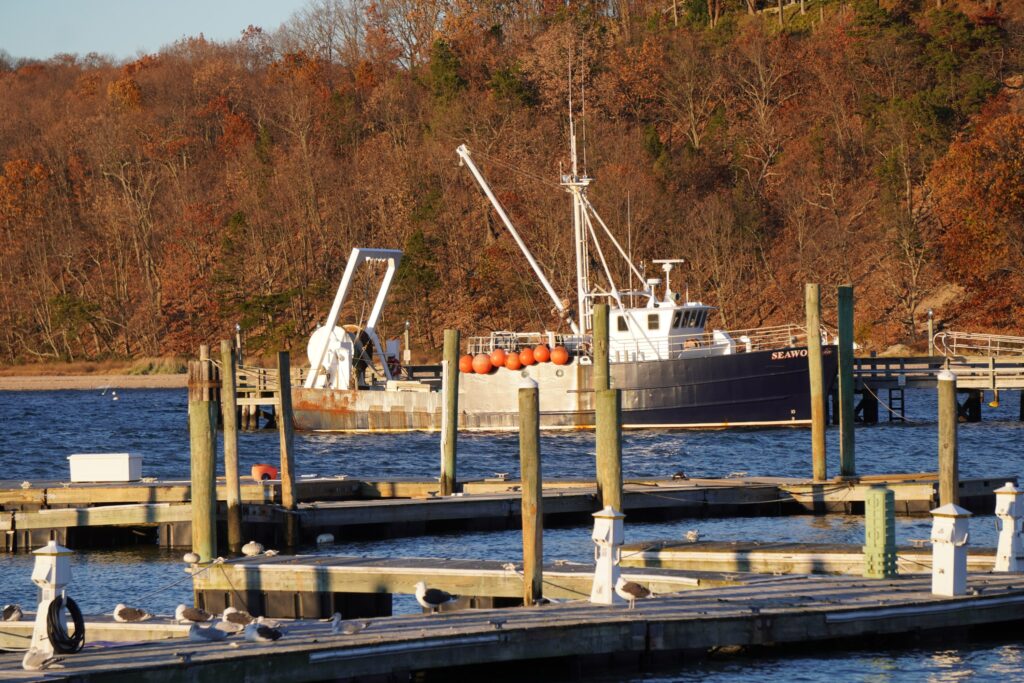 DSC01400 seen in New York City in November 2021